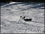IMG_2558.jpg