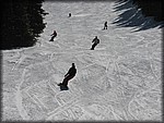 IMG_2585.jpg