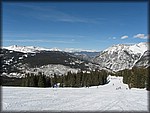 IMG_2593.jpg