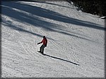 IMG_2596.jpg
