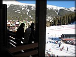 IMG_2597.jpg