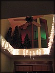 IMG_2605.jpg