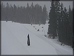 IMG_2847.jpg
