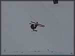 IMG_2863.jpg
