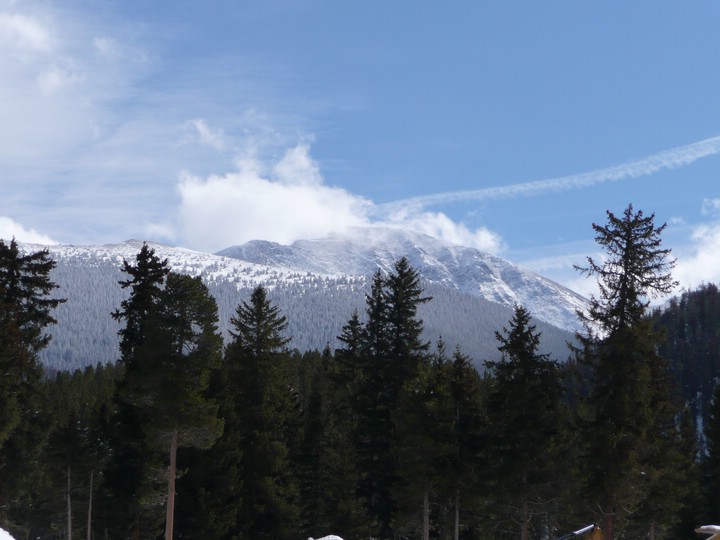 P1000136 