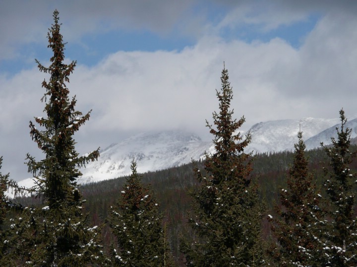 P1000166 