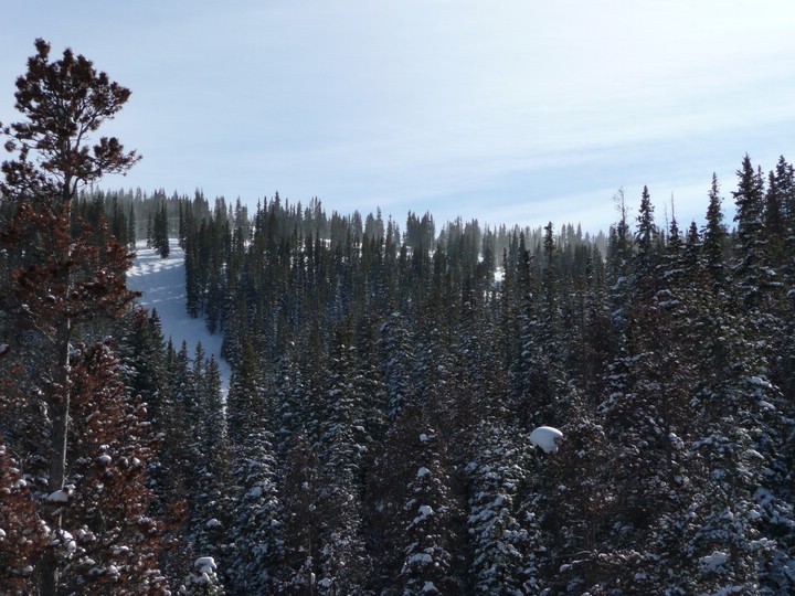 P1000198 