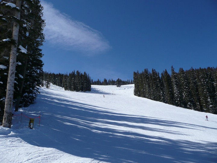 P1000294 
