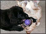P1000055.JPG