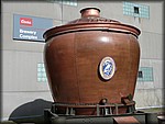 P1000056.JPG