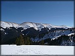 P1000345.JPG