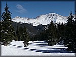 P1000387.JPG
