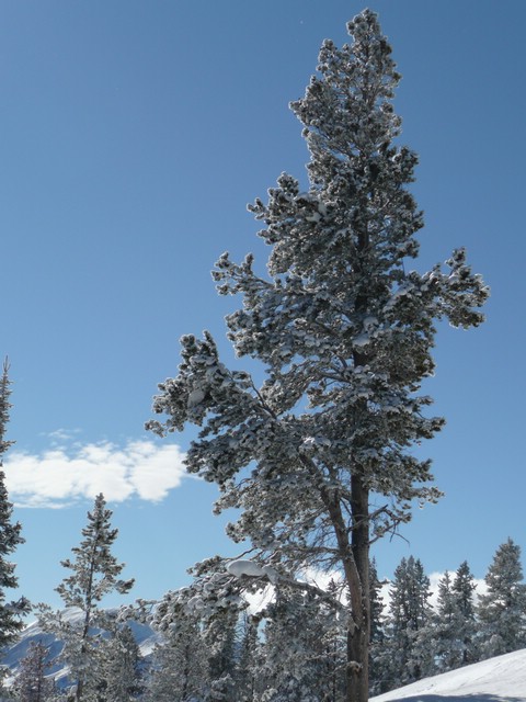 P1040549 