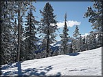 P1040554.JPG