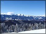 P1040559_P1080240.JPG
