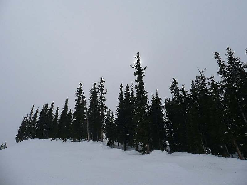 P1100229.JPG