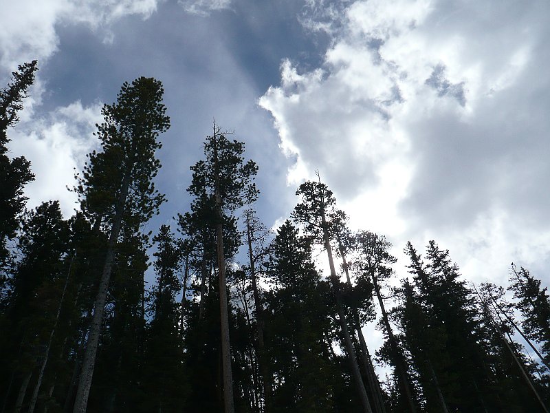 P1100355.JPG