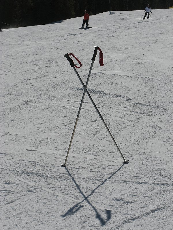 P1100399_IMG_0854.JPG