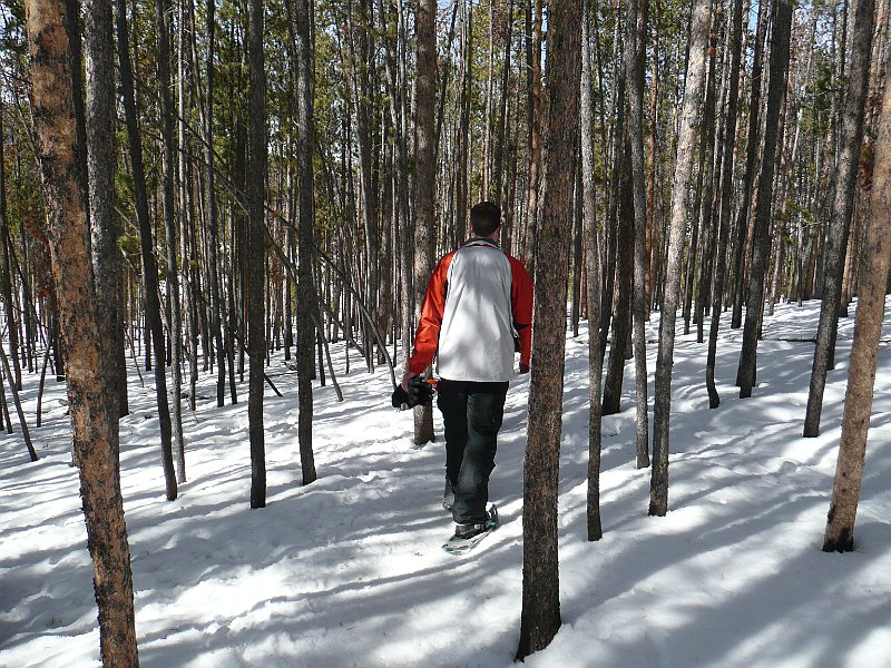 P1100530.JPG