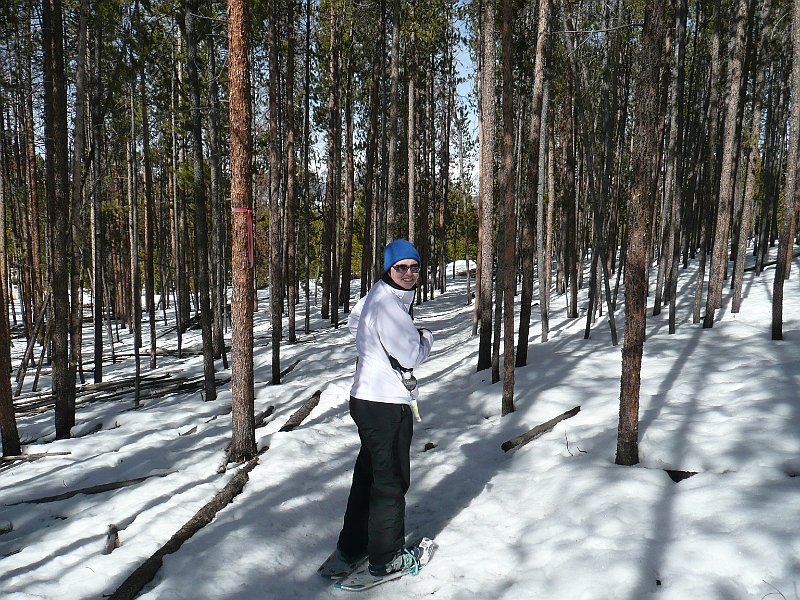 P1100533.JPG