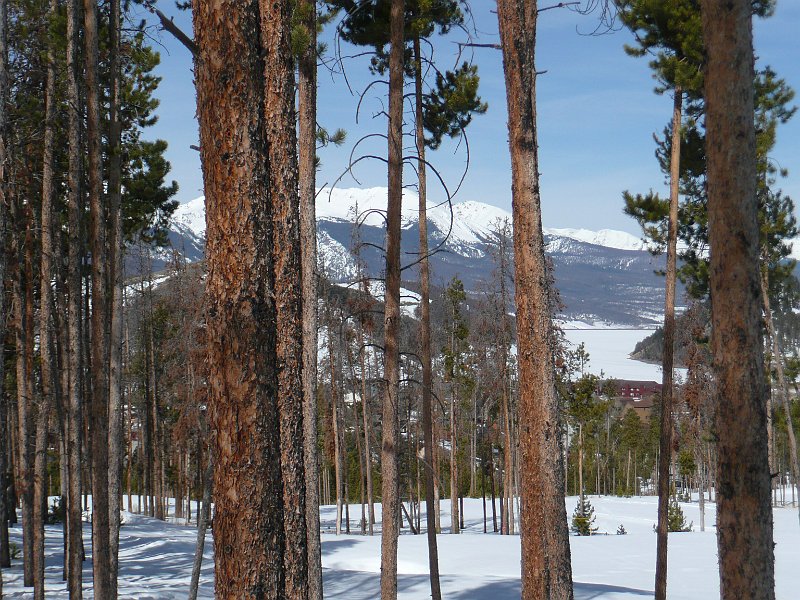P1100564.JPG