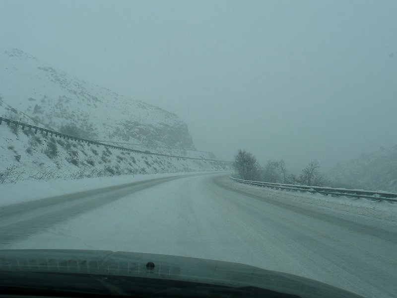 P1100677.JPG