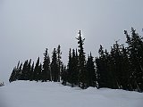P1100229