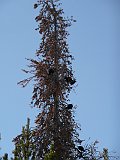 P1100494