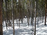P1100529
