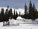DSC04884