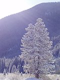 DSC04930