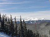 DSC04984