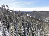DSC05003