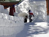 DSC07740