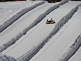 DSC07761