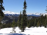 DSC07845
