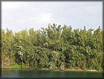 IMG_3833.jpg