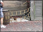IMG_3862.jpg