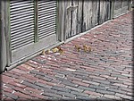 IMG_3863.jpg