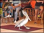 IMG_3883.jpg