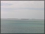 IMG_3890.jpg
