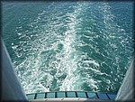 IMG_3897.jpg