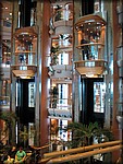 IMG_3904.jpg