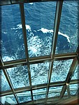 IMG_3908.jpg