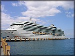 IMG_3936.jpg