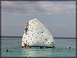 IMG_3939.jpg