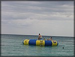 IMG_3945.jpg