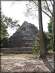 IMG_4035.jpg