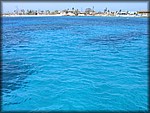 IMG_4129.jpg
