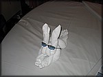 IMG_4162.jpg